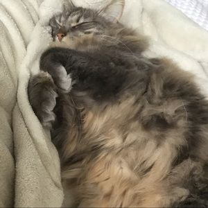 Meet your Posher, Lucy